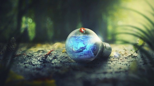 Tutto bello, ma per la luce quale scelgo?